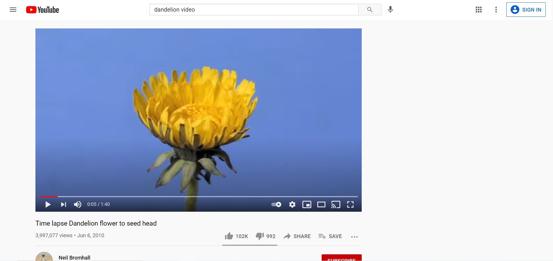 dandelion video on youtube
