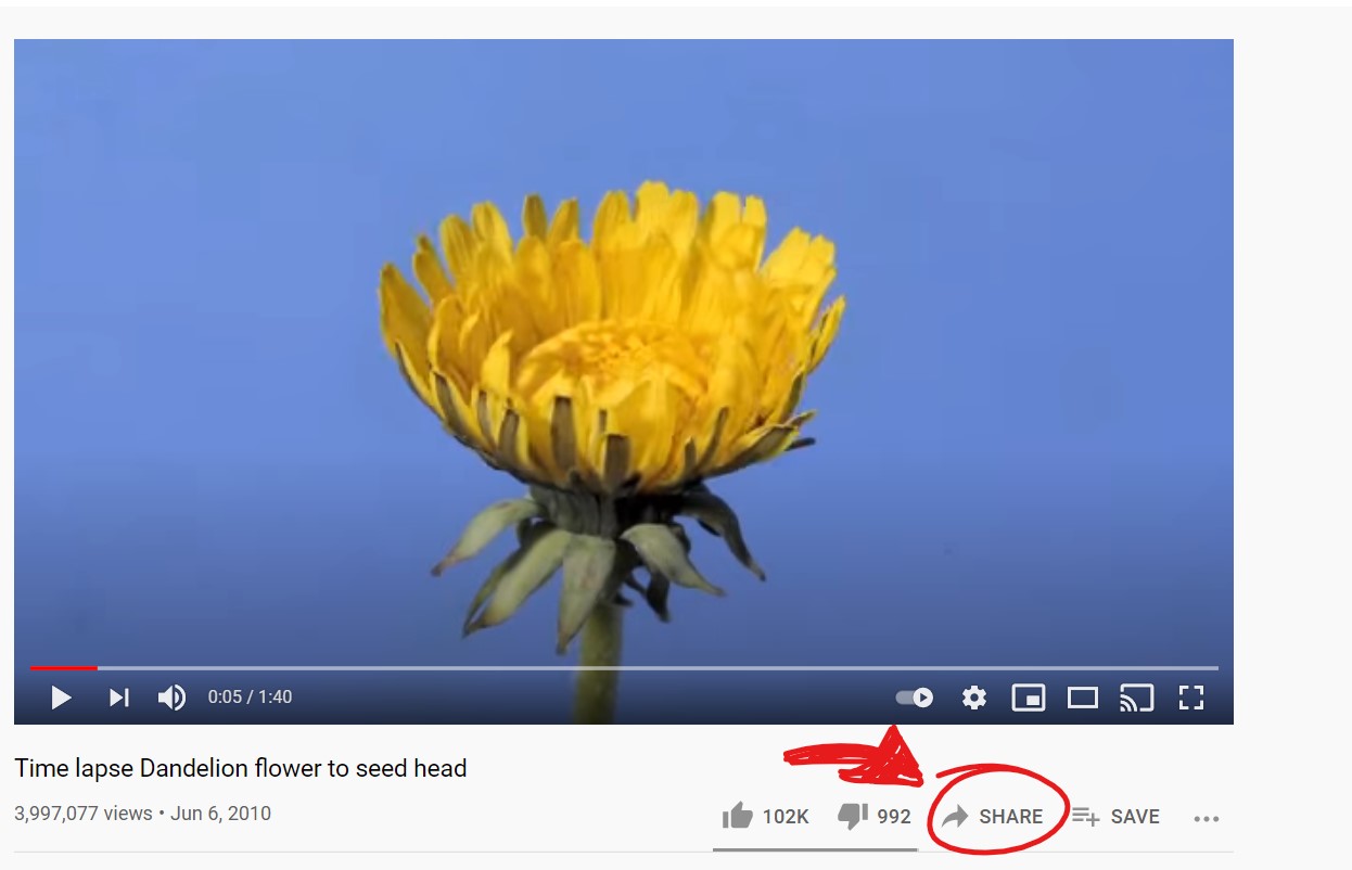video share button pointed to